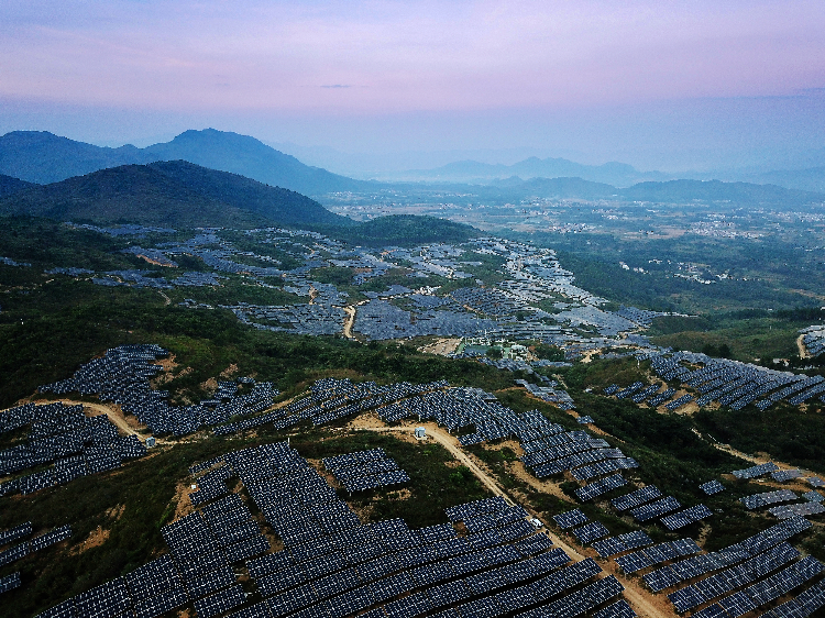 陽山太平50MW農業(yè)光伏電站。通訊員供圖.jpg